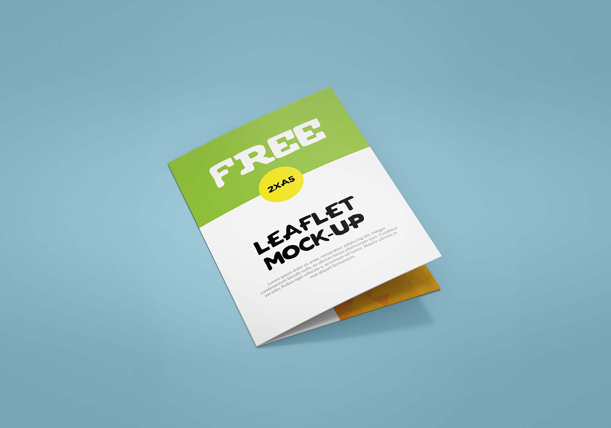 Bifold Leaflet Mockup