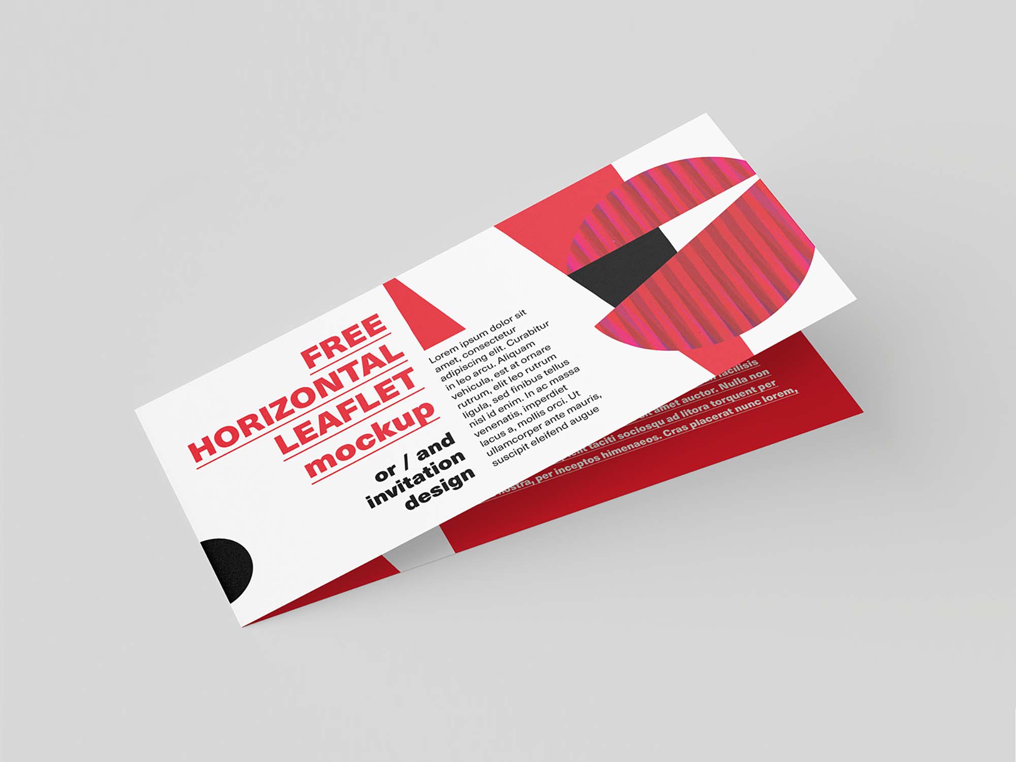 Horizontal DL Leaflet Mockup