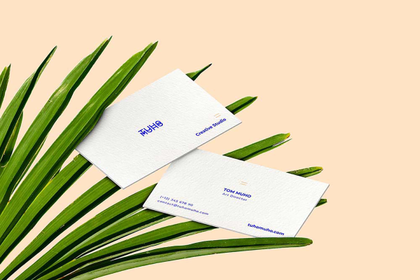 Cards Mockup