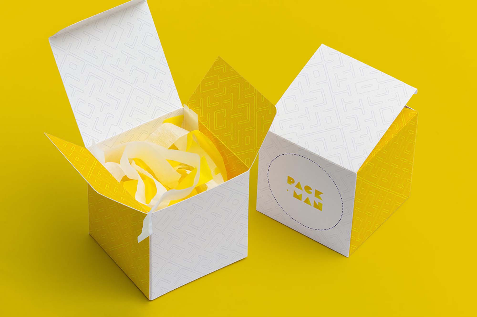 Paper Box Mockup
