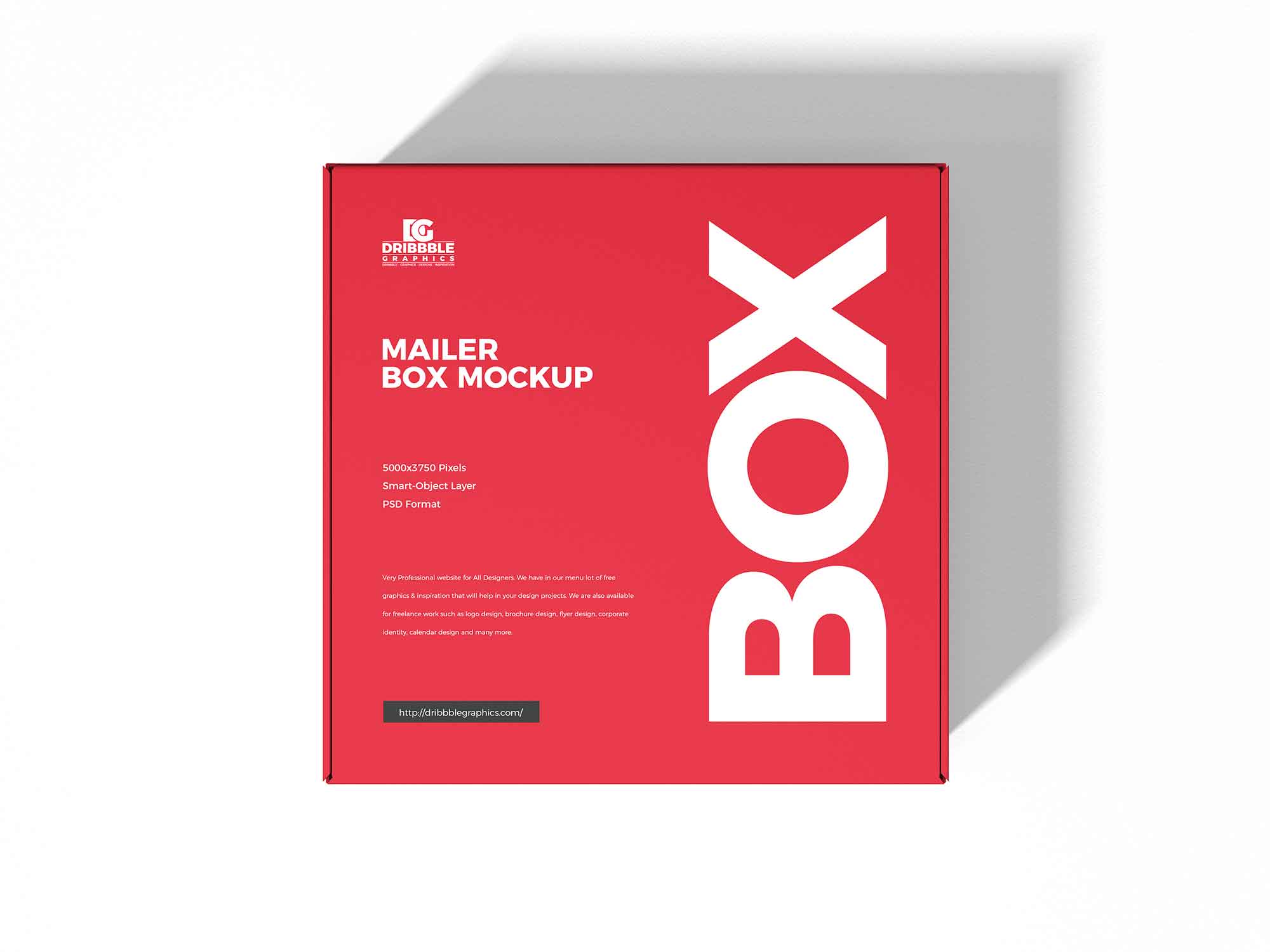 Mailer Box Mockup