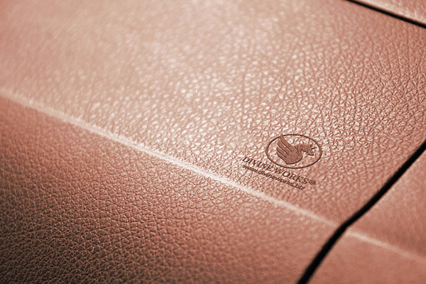 Leather Embossed Logo Mockup