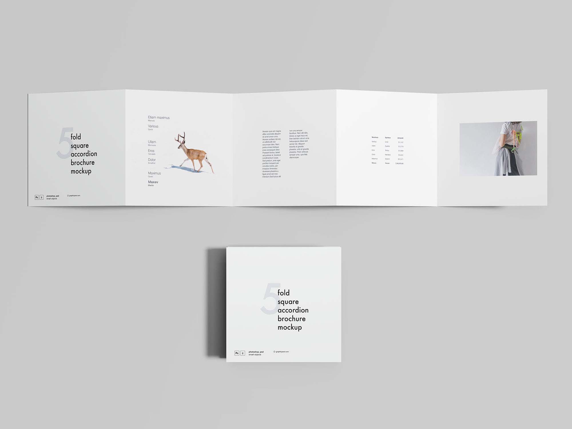 Square Accordion Brochure Mockup