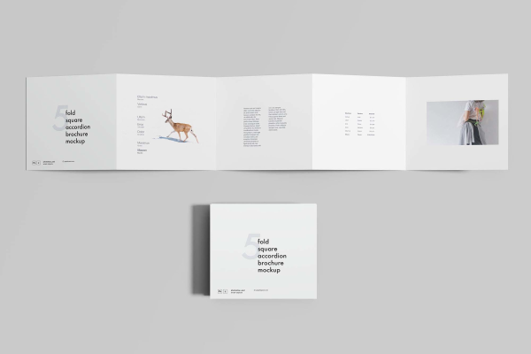 Square Accordion Brochure Mockup