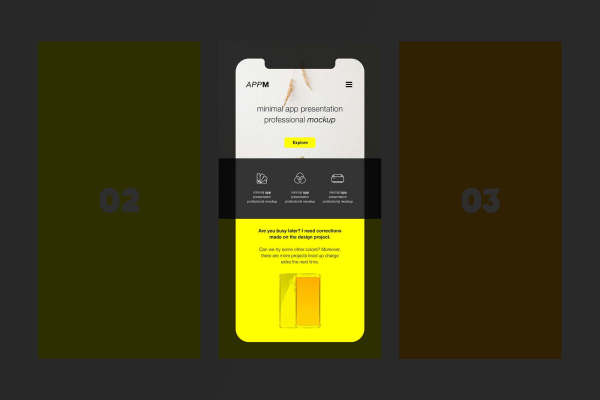 Flat App Presentation Mockup