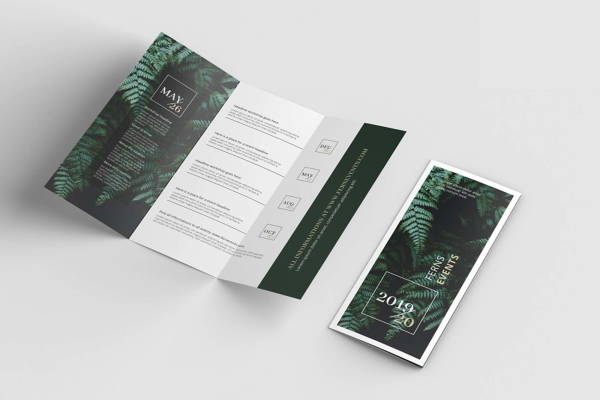 US Letter Tri-Fold Brochure Mockup