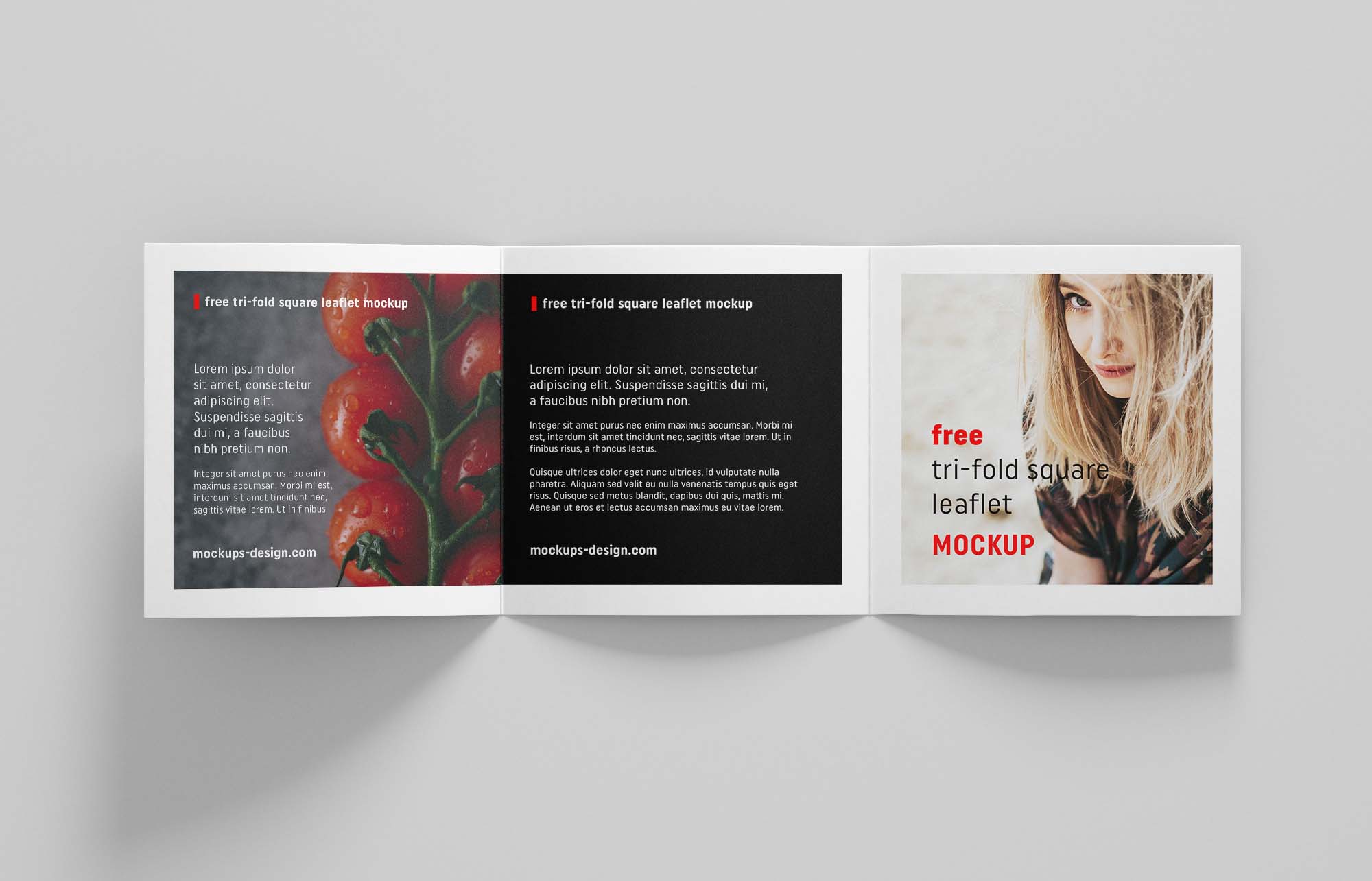 Square Trifold Leaflet Brochure Mockup