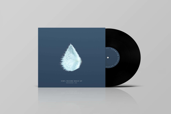 Stylish Vinyl Record Mockup
