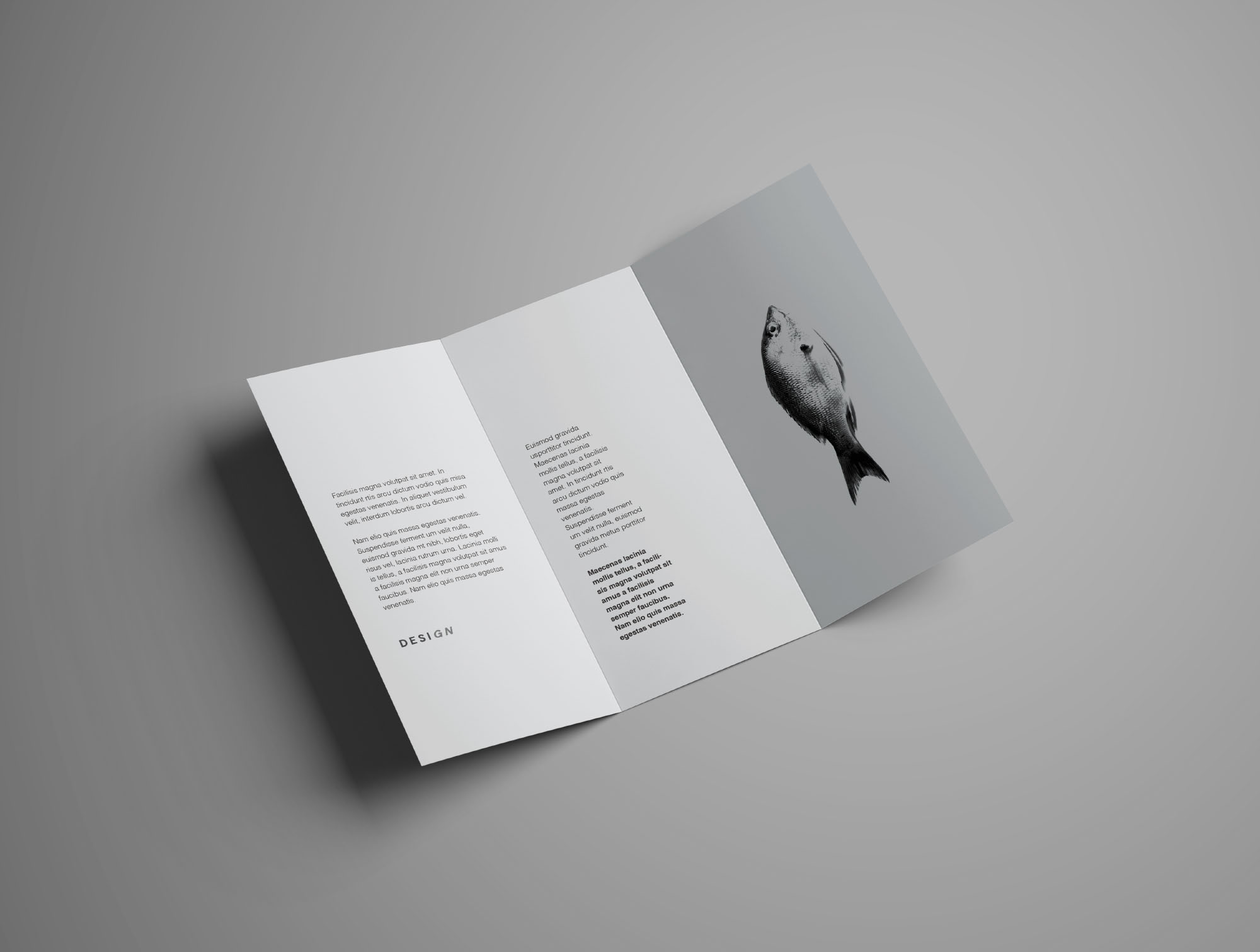 Trifold Scenes Brochure Mockup