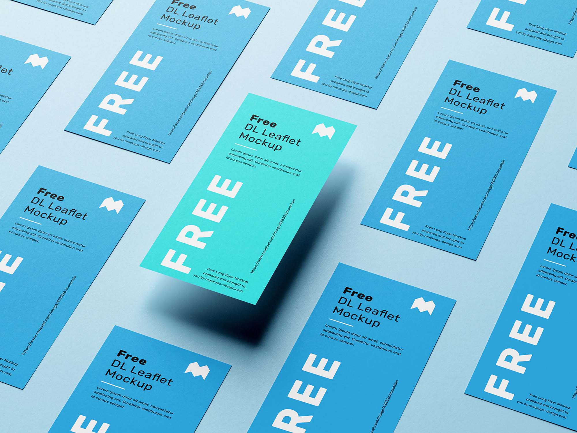 DL Leaflet Grid Mockup