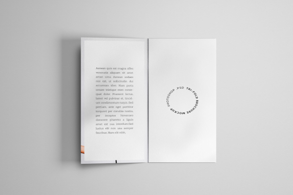 Trifold Brochure Mockup