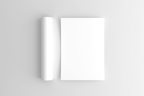 New Flyer Mockup