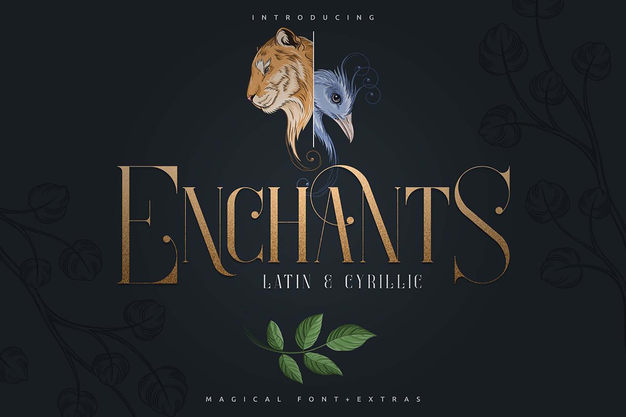 Enchants Magical Serif Font