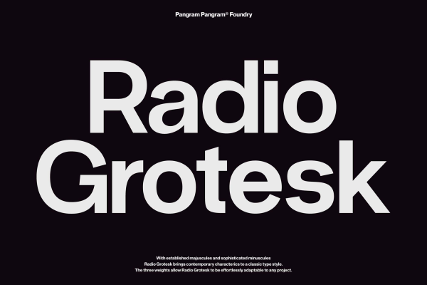 Top Radio Grotesk Sans Font