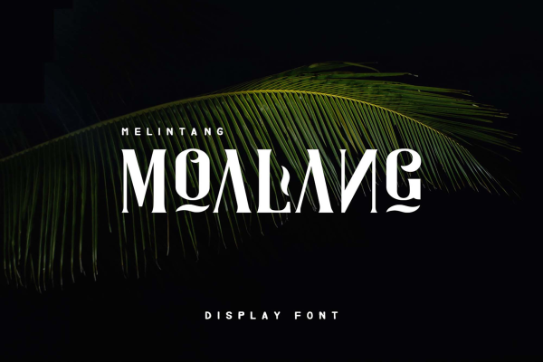 Moalang Display Elegant Font