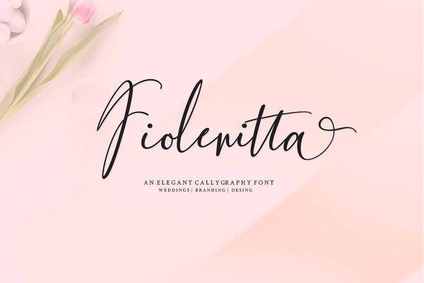 Fiolenitta Script Font