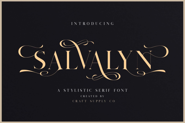 Salvalyn Serif Font & Premium
