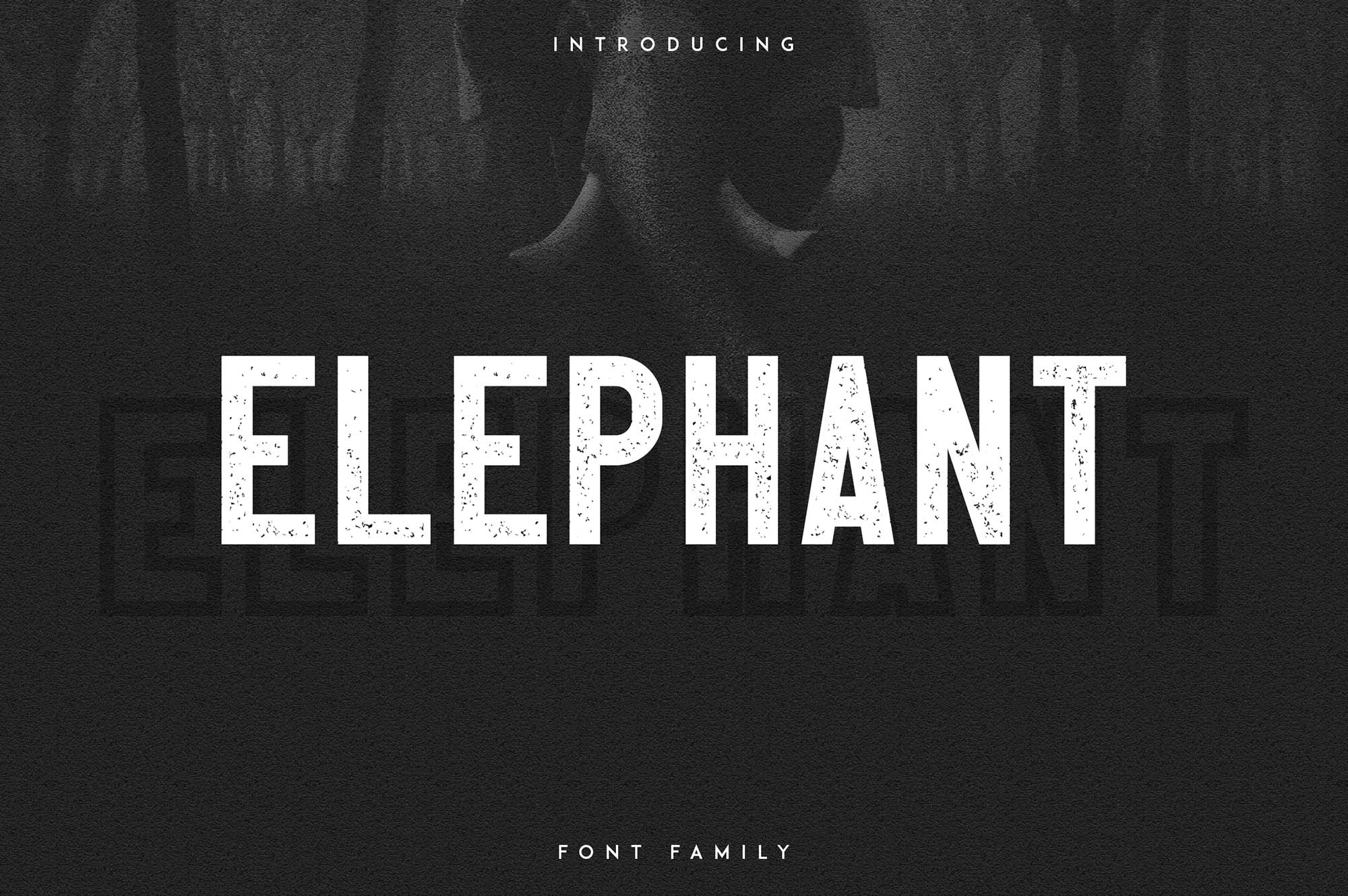 Elephant Font Family