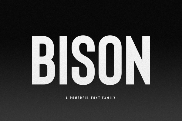 Bison Font Family