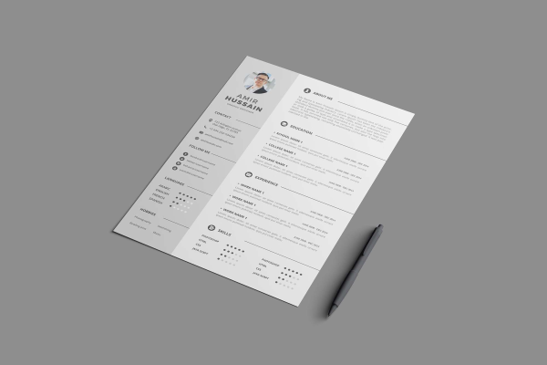 Professional Resume Template