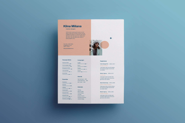 Split Minimal Resume Template