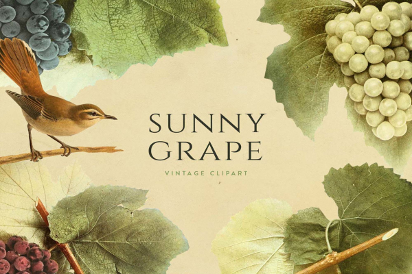 Sunny Grape Vintage Clipart