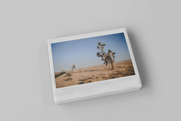 Instant Landscape Photo Mockup