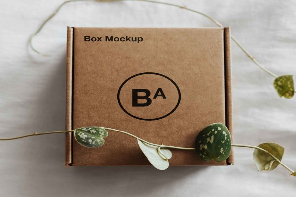 Craft Box Mockup