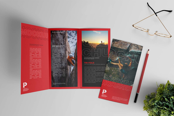 Trifold Brochure Mockup Scene