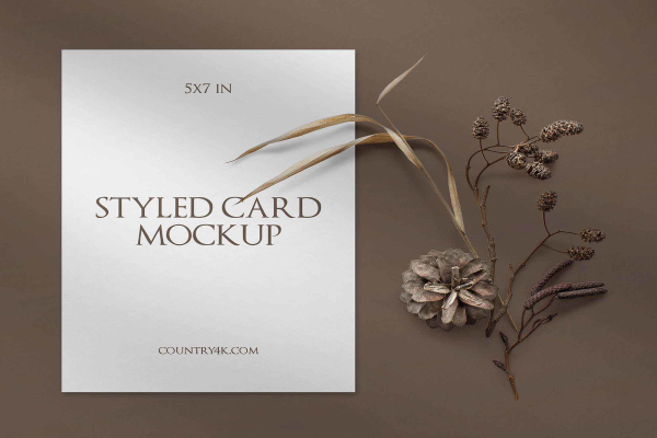 Styled Card Mockup